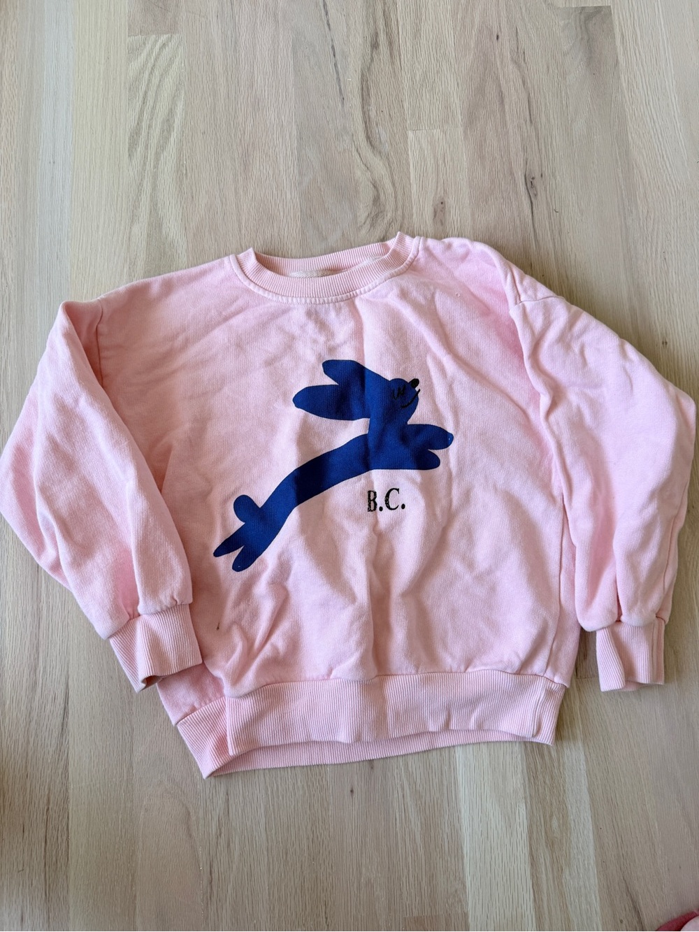 Bobo choses blue dog sweatshirt